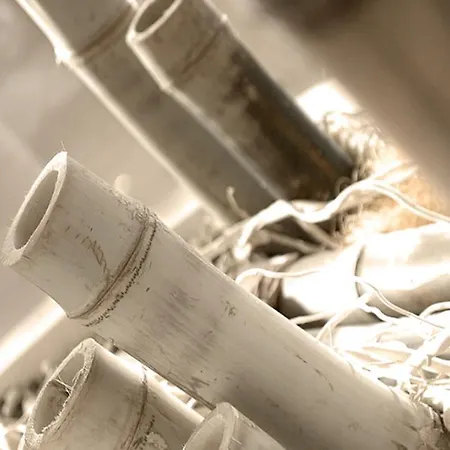 Szálloda Altamarea &