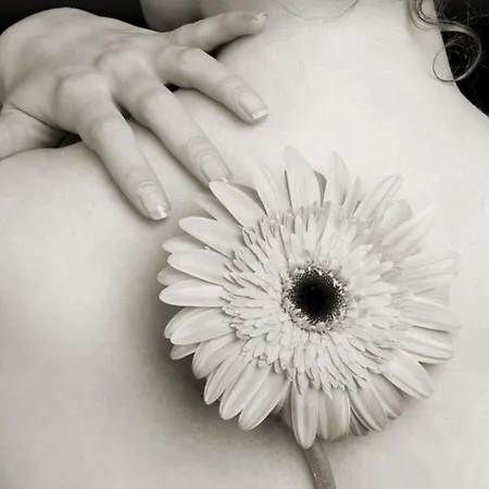 Altamarea & Szálloda Cervia